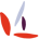 o-instituto-36.png